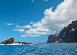 maui-getaways-rafting.jpg.webp