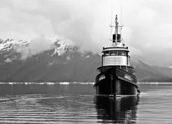 nautilus-swell.jpg.webp