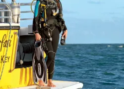newdiver.jpg.webp