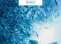 ocean_film_festival_australia.jpg.webp