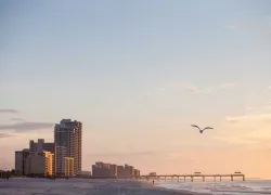 orange-beach_national-geographic-collection-alamy-cyen.jpg.webp