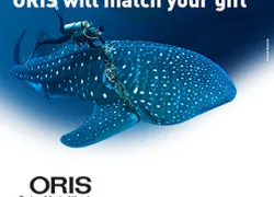 oris_square_donate_page.jpg.webp