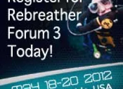padi-rebrfrm-hompgbnr-x.jpg.webp