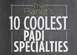 padi-specialties-thumb_.jpg.webp