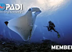 padi_member-card--.jpg.webp