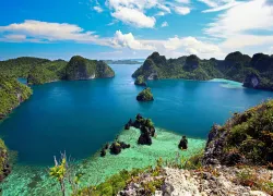 papaunewguinea_istock__medium-opt.jpg.webp