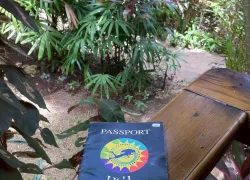 passport.jpg.webp