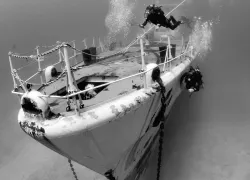 porto_santo_shipwreck_portugal_william_harrison_teaser.jpg.webp