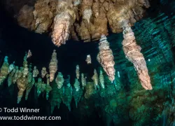 pp_chandelier-cave_winner.jpg.webp