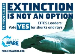 project-aware-petition.jpg.webp
