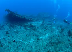 rhone-stern_.gif.webp