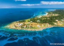 roatan.jpg.webp