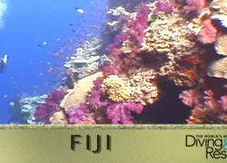 screen_shot_--_at_.._pm.png.webp
