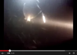screen_shot_--_at_.._pm.png.webp