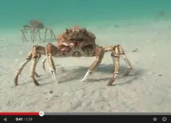 screen_shot_--_at_.._am.png.webp