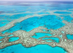 scuba-diving-great-barrier-reef.jpg.webp