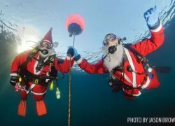 scuba-diving-santas.jpg.webp