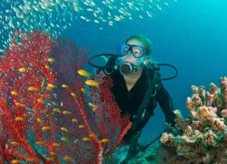 scuba-diving-seychelles-diver.jpg.webp