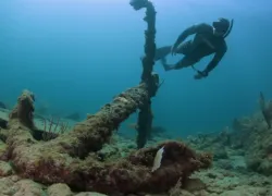scuba diving copenhagen wreck south florida