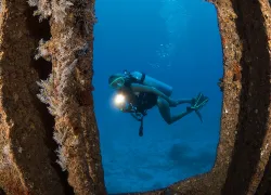 scuba_diving_oahu_teaser_image.jpg.webp