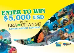 seachange_flash_x_final.jpg.webp