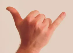 shaka.jpg.webp