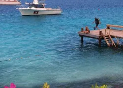 shore dive bonaire benz.jpg.webp