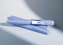 shutterstock__edit.jpg.webp