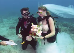 skynews-wedding-florida-thomas-mould_.jpg.webp