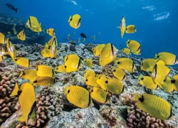 snorkeling-spots.jpg.webp