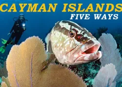 spd-caymanislands-thumb.jpg.webp
