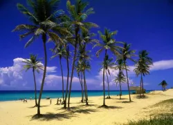 spd-cuba-.jpg.webp