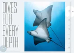 spd-dives-for-every-depth_thumb.jpg.webp
