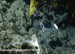 spd-natgeo-hoyonegrovideo_thumb.jpg.webp