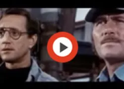 spd-top--favorite-shark-movies-thumb.jpg.webp