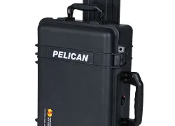 spd_pelican_.jpg.webp