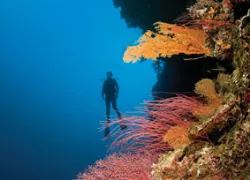 Scuba diving training tips