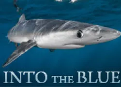 spd-bluewater-thumbnail.jpg.webp