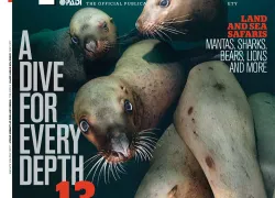 spd_cover.jpg.webp