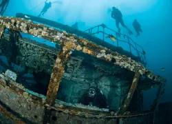 diving the Florida Panhandle
