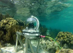spd_ocean-frontiers_.jpg.webp
