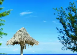 Best beaches for diving