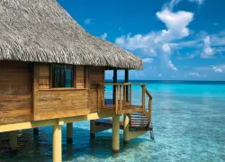 spd_tahiti__.jpg.webp