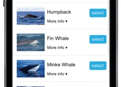 spd_whaleapp_ios-screenshot--_web.jpg.webp