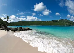 spddr_usvi_.jpg.webp