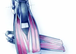 spdsl_illo_finpaddle.jpg.webp