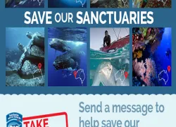sportdiverenewssaveoursanctuariesfeb.jpg.webp
