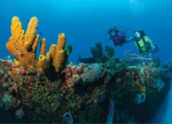 st._croix_thumb.jpg.webp