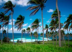 st_kitts.jpg.webp