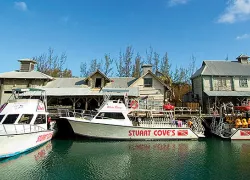 stuart-coves-dive-bahamas-.jpg.webp
